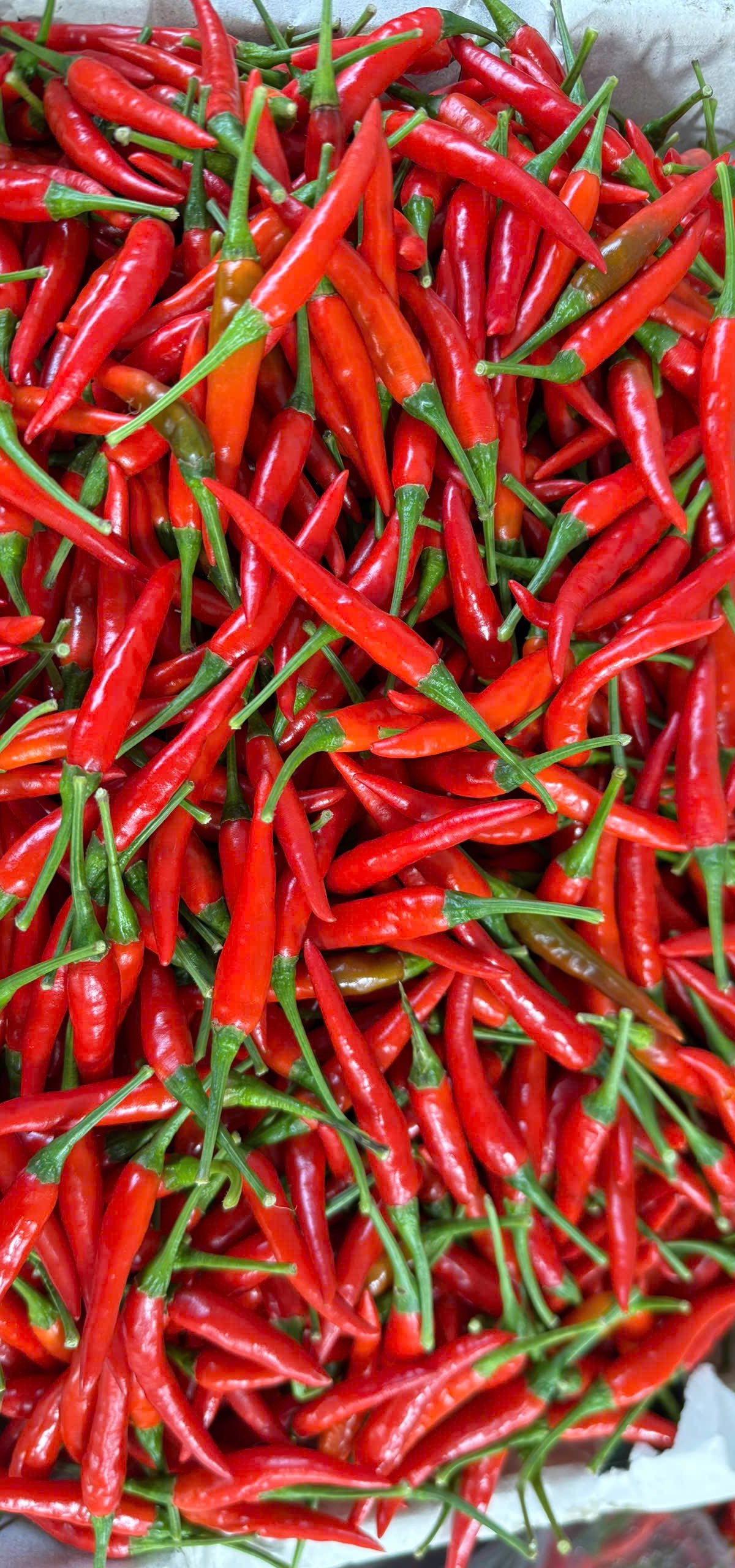 Vietnam farm produce — MANTIS AGRO