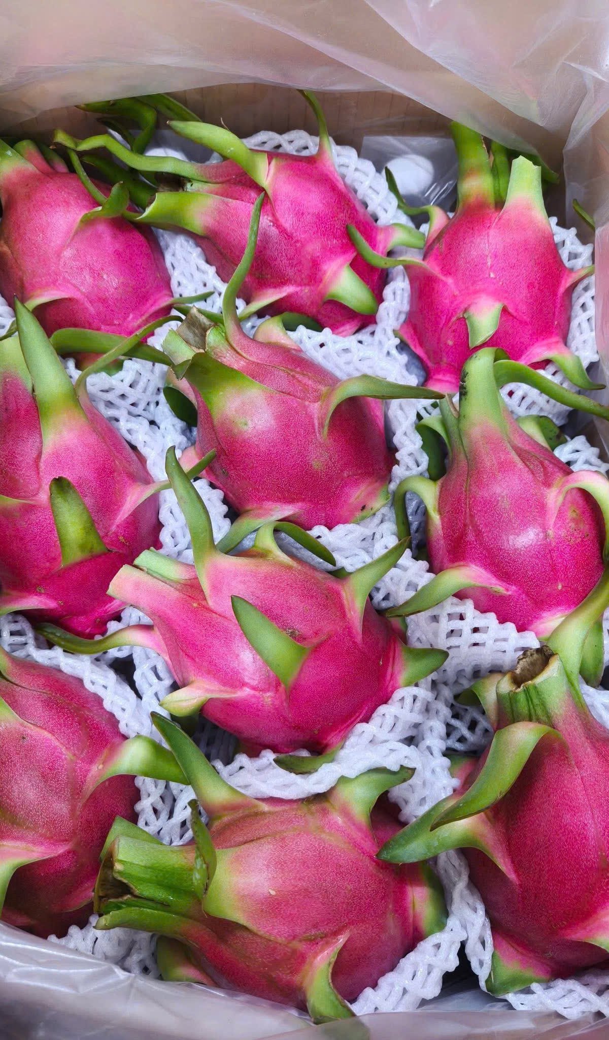 Fresh Vietnamese agricultural products — MANTIS AGRO